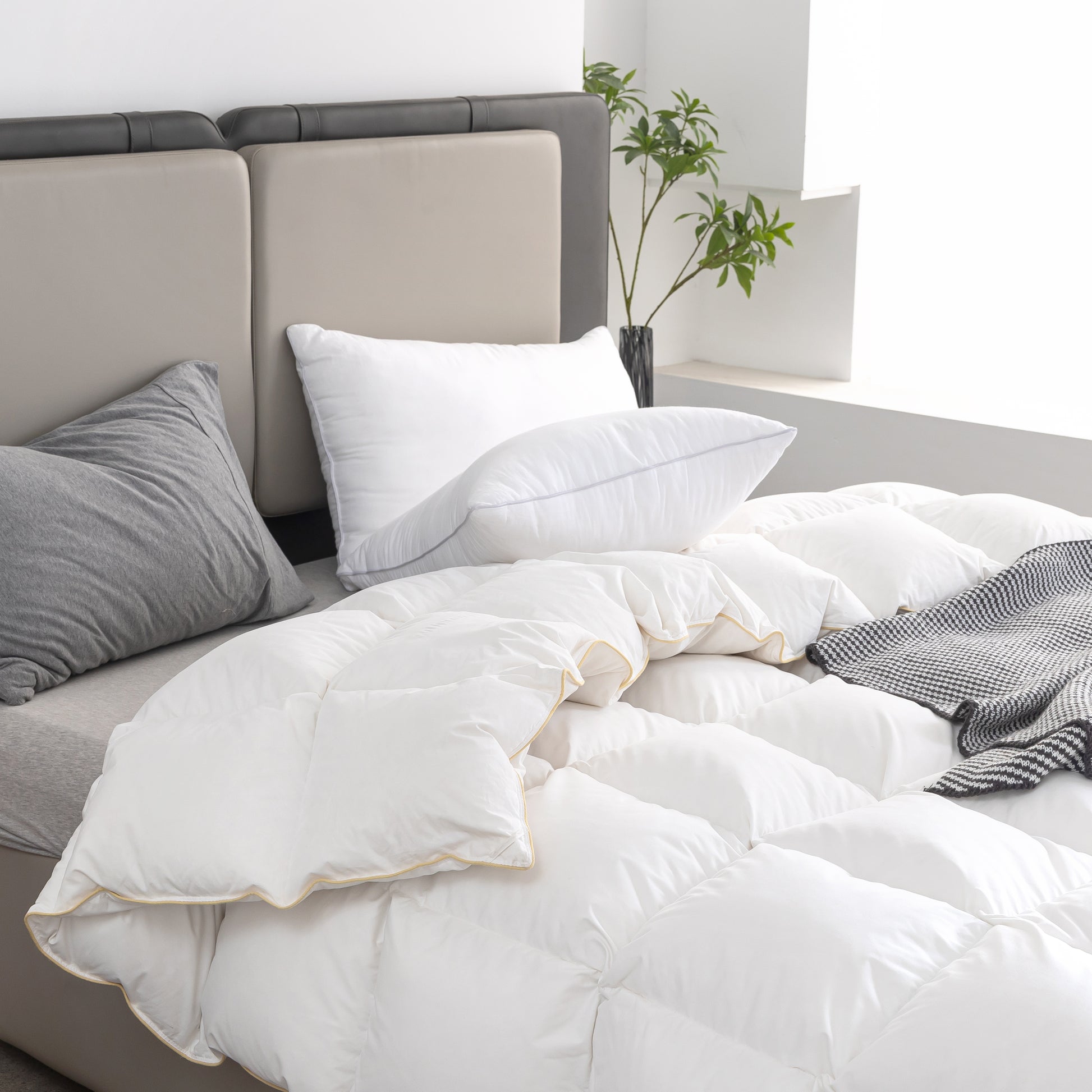 Box Stitch Golden Edged